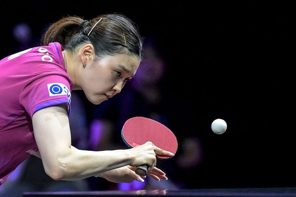 与赛前分析, 获胜 与赛前分析, 获胜